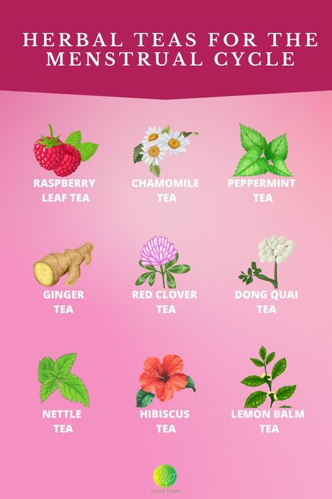 Rasberry Leaf Tea, Menstrual Tea, Raspberry Leaf Tea Benefits, Cycling Food, Tea Blends Recipes, Kitchen Witch Recipes, Healthy Period, Lemon Balm Tea, Catering Food Displays