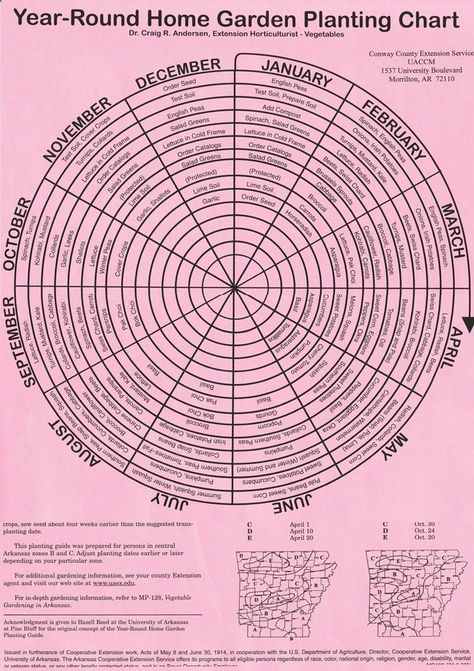 year-round gardening chart! (this is for Arkansas, but it is the same planting zone as me) Gardening Chart, Arkansas Garden, Indoors Garden, Dirt Therapy, Planting Chart, Vegetables Growing, Small Farming, Gardening Vegetables, Indoor Vegetable Gardening