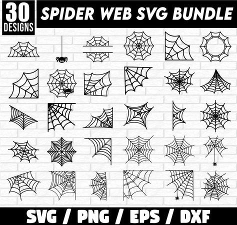 Different Types Of Spider Webs, Spider Web Outline, Spiderweb Sketch, Spoder Web, Diy Halloween Spider Web, Spider Web Clipart, Spider Web With Spider, Spider Web Svg, Web Clipart