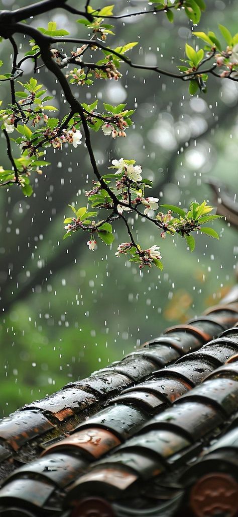 Rainy Wallpaper Iphone, Rainy Day Wallpaper, Rainy Wallpaper, Cozy Rainy Day, Day Wallpaper, Rain Wallpapers, Iphone Wallpaper Classy, Cool Pictures For Wallpaper, Hd Nature Wallpapers