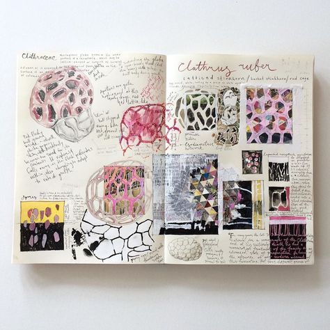 Tansy Hargan on Instagram: “Latticed Stinkhorn (and other Clathraceae) research and composition development.  Lots of detail and notes so please swipe 👉🏻👉🏽👉🏿 to zoom.…” Research Vessel, Research Sketchbook, Clathrus Ruber, Tansy Hargan, Sketchbook Development, Collage Sketch, A Level Sketchbook, Research Book, Research Journal