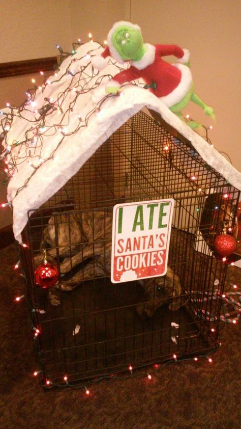 Don't forget to decorate the dog crate! Dog Crate Christmas Decor, Christmas Sewing Ideas, Dog Lifestyle, Pet Ornaments, Christmas Lodge, Plaid Christmas Decor, Grinch Christmas Decorations, Dog Shaming, Dog Cage