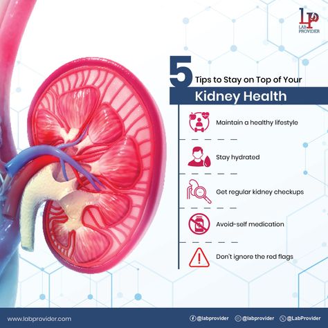 Take proactive steps toward kidney health with our Kidney Function Tests. Ensure good health with our expert-curated body check with smart diagnosis and accurate reports. 

To book an appointment call us at 081888 00226 or write to us at info@labprovider.com 

#kidney #kidneyhealth #kft #kidneyfunctiontest #health #healthcheckups #labprovider #tryus Kidney Function Test, Kidney Function, Health Planner, Kidney Health, Health Check, Book An Appointment, Good Health, Healthy Lifestyle, Medical