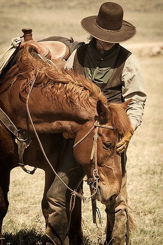 Cowboys Bar, Cowboy Photography, Cowgirl Photo, Bucking Bulls, Cowboy Ranch, Western Photo, Cowboy Pictures, Real Cowboys, Cowboy Gear