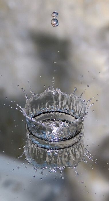 Water Drop Images, Macro Photography Water, Photography Poses Family, Photography Logo Design, Water Photography, Water Art, Dew Drops, Nature Tattoos, Water Droplets