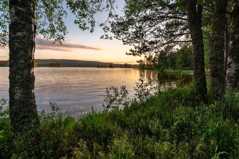 Calm Pictures, Enchanted Tree, Fishing Lake, Big Lake, Tree Light, Bali Island, Lake Photos, Blue Sky Background, Lake Fishing