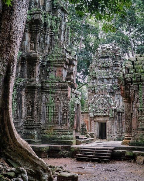 Ta Prohm Temple, Siem Reap - Cambodia 🇰🇭 :… Mystic Places, Ta Prohm Temple, Ta Prohm, Siem Reap Cambodia, Mystical Places, Siem Reap, Angkor Wat, Angkor, Magical Places