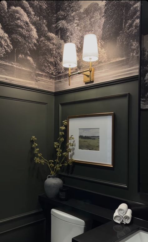 Statement Guest Bathroom, Black And Green Powder Room, Guest Loo Ideas, Dark Green Bathroom Aesthetic, Small Moody Half Bath, Powder Bath Inspiration, Moody Guest Bathroom Ideas, Contemporary Powder Room Design, Dramatic Half Bath