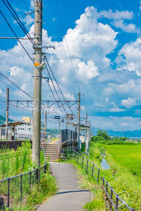 Japan Countryside, Japanese Countryside, Japan Landscape, Cocoppa Wallpaper, Japan Photography, Scenery Photography, Power Lines, Green Field, Japanese Landscape