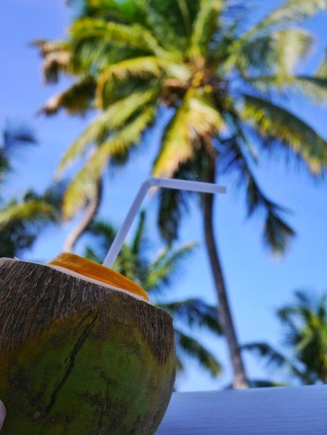 Coconuts Beach, Nature Story, Coconut Drinks, Instagram Planner, Beach Drinks, Fresh Coconut, Beach Meals, Tropical Beaches, Traditional Dance