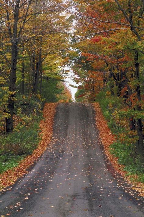 Granny Mountain: Back Roads Leaves On The Ground, Empty Road, Country Roads Take Me Home, Back Road, Vacation Photos, Fall Pictures, Lombok, On The Ground, Fall Foliage