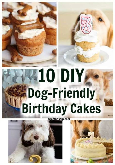 10 DIY Safe Dog-Friendly Birthday Cakes – Edible Crafts Essen, Peanut Butter Dog Cake, Birthday Dog Cake, Dog Safe Cake Recipe, Dog Cake Recipe, Diy Safe, Dog Friendly Cake, Dog Birthday Cake Recipe, Dog Cake Recipes