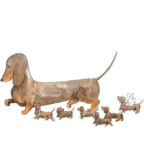 Save The Forest, Arte Dachshund, Doxie Art, Dachshund Illustration, Dachshund Quotes, Dachshund Stuff, Dachshund Art, Dapple Dachshund, Sausage Dogs