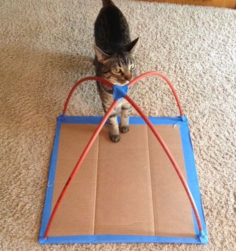 Pet Tent Diy, Diy Cat Tent How To Make, Cat Tepee House Diy, Diy Cat Teepee, Cat Nesting Box Kittens Diy, Diy Cat Hideout, Dog Tent Diy, Diy Cat Projects, Diy Kitten Playpen