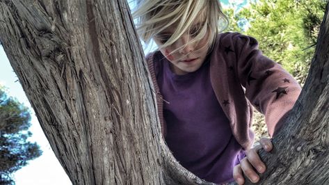 "It was a hot, July afternoon when I climbed my favorite tree. The tree climbing was nothing new, but the coil of old rope wrapped around my arm was..." Greater Is He, Tree Climbing, Drunk Driving, Spin Out, I Am Alive, Rope Wrapped, Nothing New, Worship Songs, Live Laugh Love