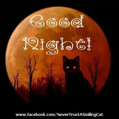 Halloween Good Night, Night Witches, Good Night Beautiful, Halloween Gif, Enjoy Your Weekend, Good Night Wishes, Night Wishes, Good Night Sweet Dreams, Beautiful Moon