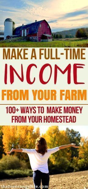 Learn how to make money from home with your homestead. 100+ ideas on how to create a full time income at home using your skills and land. Homesteading | Self Sufficiency | Homesteading DIY Self Sufficiency, Homesteading Diy, Homestead Farm, Farm Business, Homestead Gardens, Homesteading Skills, Urban Homesteading, Mini Farm, Living Off The Land