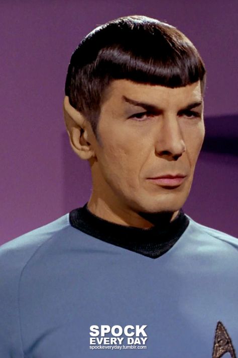 Mr Spock, Star Trek 1, Star Trek Original Series, Leonard Nimoy, Star Trek Original, Spock, Love Stars, Star Trek, Favorite Character