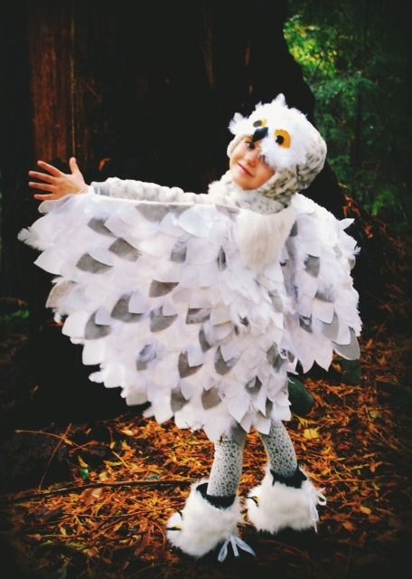 10 No Sew Halloween Costumes Anyone Can Make - Overstuffed Life Woodpecker Costume, Stork Costume, Chicken Costume Kids, Owl Costume Diy, Rooster Mask, Owl Outfit, Beat Bugs, Sew Halloween Costume, Chicken Costume