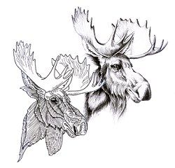 The Carving Sections include: Moose Illustration, Moose Pictures, Farm Prints, Ink Pen Art, Pyrography Patterns, Bull Art, Bull Moose, Deer Art, Wood Burning Patterns