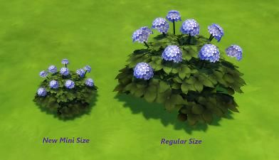 Marigold Sims 4, Large Hydrangea, Organic Gardening Pest Control, Angled Bob Hairstyles, Sims 4 Anime, The Sims 4 Pc, Climbing Hydrangea, Hydrangea Bush, Dried Hydrangeas