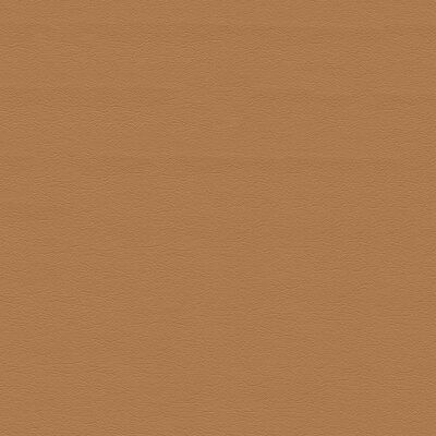 Rv, Light Caramel Brown, Fall Ios, Office Seating, Caramel Brown, Performance Fabric, Fabric By The Yard, Fabric Color, Caramel