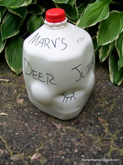 Deer Deterrent For Gardens, How To Keep Deer Out Of Garden, Keep Deer Out Of Garden, Homemade Deer Repellant, Deer Repellant Plants, Deer Resistant Landscaping, Deer Repellent, Rabbit Repellent, Deer Deterent