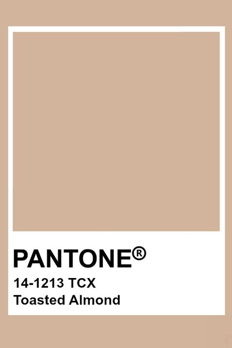 Pantone Paint, Brown Pantone, Pantone Tcx, Pantone Color Chart, Pantone Swatches, Pantone 2020, Pantone Palette, Pantone Colour Palettes, Color Inspo