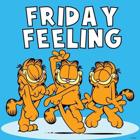 Friday Feeling Feels Meme, Garfield Quotes, Tgif Funny, Garfield Cartoon, Friday Meme, Friday Pictures, Friday Images, Feel Good Friday, Funny Sports Pictures