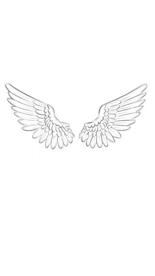 Small Wings Tattoo Men, Angel Wings Line Tattoo, Men’s Wings Tattoo, Shaded Angel Wings Tattoo, Feminine Angel Wings Tattoo, Saltburn Tattoo Ideas, Angel Wings Tattoo Tramp Stamp, Angel Wing Sketch, Angle Wings Tattoo Women