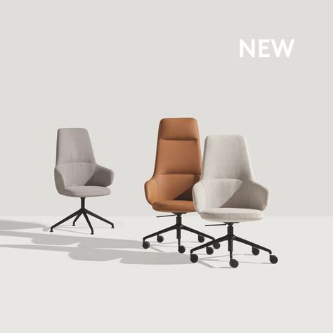 BINAR EXECUTIVE armchairs . New Collection Contemporary Living Room Chairs, Small Office Design Interior, Corporate Meeting, Adjustable Office Chair, Office Chair Design, Modern Office Chair, Office Furniture Modern, Office Seating, High Back Chairs