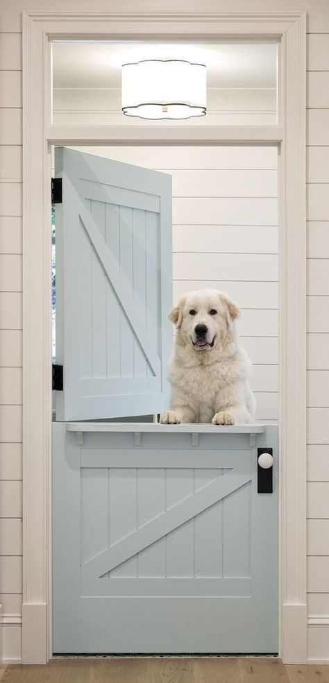 baby blue indoor Dutch door Dutch Door Interior, Lake House Interior Design, Dutch Doors Diy, Lake House Interior, Door Paint Colors, Dutch Bros, Paint Colors Benjamin Moore, Dutch Baby, Dutch Door