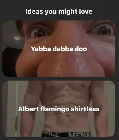 flamingo and yabba dabba doo. Albert Aretz, Albert Flamingo, Yabba Dabba Doo, Ice And Spice, Roblox Memes, Wholesome Memes, Some Funny Jokes, I Have No Friends, Internet Funny