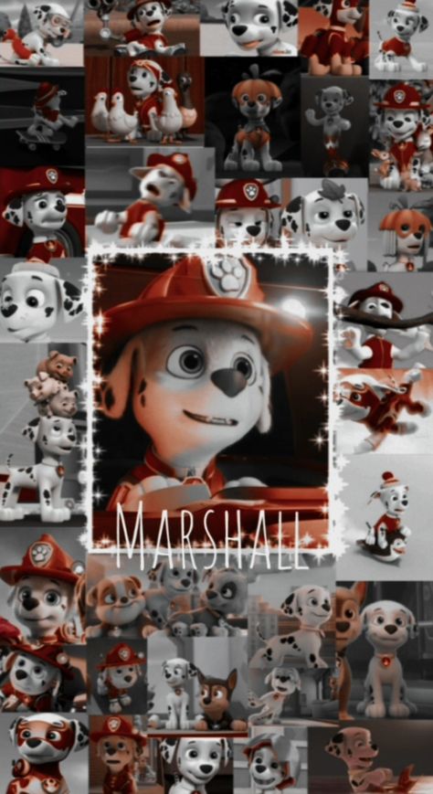 Paw Patrol Aesthetic Wallpaper, Chase Paw Patrol Wallpaper, Paw Patrol Wallpaper Iphone, Paw Patrol Wallpaper Backgrounds, Paw Patrol Aesthetic, Paw Patrol Background, Paw Patrol Wallpaper, Marshall Wallpaper, Paw Patrol Movie