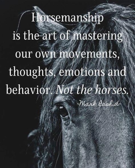 Horsemanship Quotes, Equine Quotes, Inspirational Horse Quotes, Horse Riding Quotes, Equestrian Quotes, Healthy Horses, Cowboy Quotes, Cowgirl Quotes, Riding Quotes