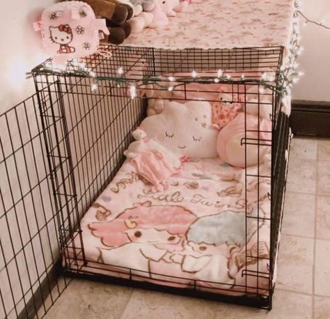 Pet Play Dog Cage, Pet Set Up, Puppy Space Aesthetic, Puppy Space Ideas, Petspace Puppy, Petspace Aesthetic, Little Home Ideas, Petregre Puppy, Puppy Play Aesthetic