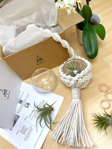 Diy Plant Hanger Easy, Macrame Air Plant Hanger, Diy Macrame Plant Hanger Pattern, Plant Hanger Pattern, Air Plant Hanger, Round Glass Vase, Macrame Plant Hanger Patterns, Makramee Diy, Beginner Crafts