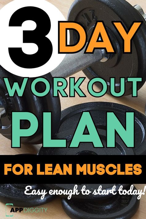 3 Day Workout Plan, 3 Day Full Body Workout, Gym Weekly Workout Plan, Lean Muscle Workout, Weekly Gym Workouts, Total Body Workout Plan, Day Workout Plan, 3 Day Workout, Lean Workout