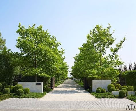 London Plane Tree, Driveway Entrance Landscaping, Farm Entrance, Tree Lined Driveway, Driveway Entrance, Driveway Design, Driveway Landscaping, Modern Landscape Design, Hamptons House