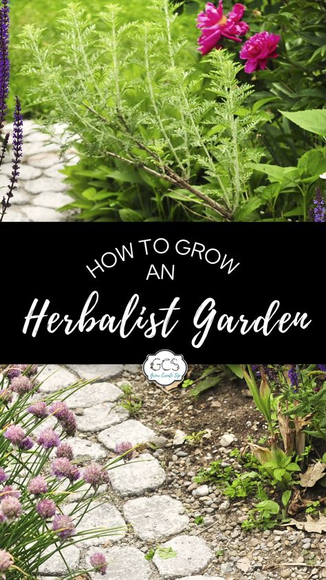 Medicinal Cottage Garden, Herbal Garden Design Landscapes, Medicinal Herb Garden Layout Raised Beds, Herbal Medicine Garden Layout, Herbal Flower Garden, Herbal Tea Garden Design, Herbalist Garden Design, Medicinal Herbs For Beginners, Wild Herb Garden