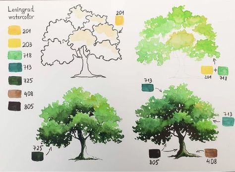 Tree Watercolor Painting Simple, Easy Watercolor Trees, How To Draw A Tree, Spiral Drawing, Tree Watercolor Painting, Tree Study, Interior Architecture Drawing, Flower Drawing Tutorials, Art Tutorials Watercolor