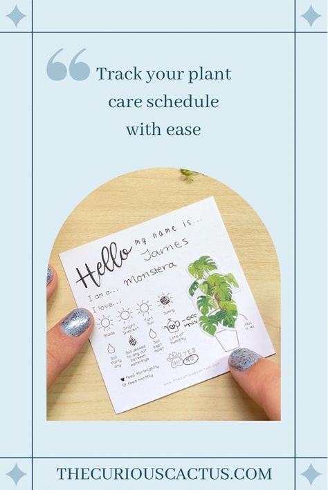 Plant Care Tags, Dirt Therapy, Plant Puns, Avocado Tree, Plant Projects, Plant Shop, Cut Flower Garden, Tree Shop, Green House