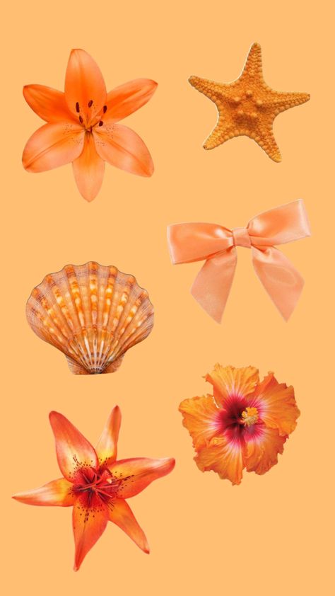 #orange #summer #flowers #hisibiscious #tulip #starfish #pretty #sea #seashell Artsy Background, Wallpaper Iphone Summer, Summer Wallpaper, Orange Flowers, Summer Flowers, Starfish, Sea Shells, Tulips, Mood Board