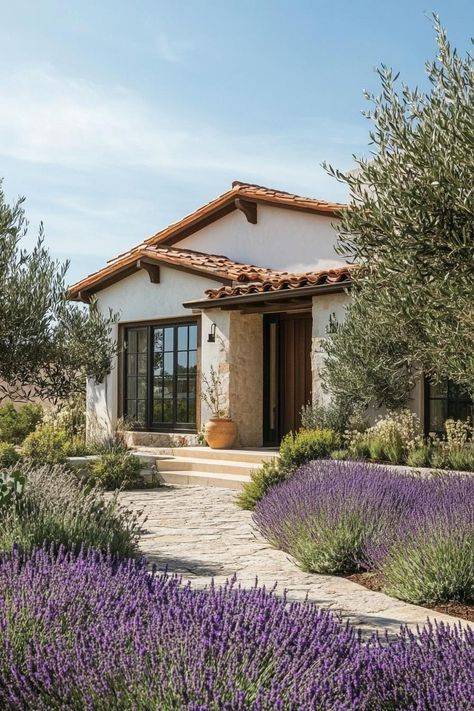 40 Brilliant Small Mediterranean Homes Cute Mediterranean House, Front Door Olive Trees, Mediterranean Ranch House, One Story Mediterranean Homes, Southern California Homes Exterior, Lavender Front Yard, Tropical Mediterranean Home, Mediterranean Cabin, Medeteranian Houses Exterior