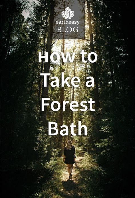 Shinrin Yoku, Wood Bath, Forest Bathing, Women Bathing, Forest School, Spiritual Health, Eyes Model, Healthy Living Tips, Makeup Skincare