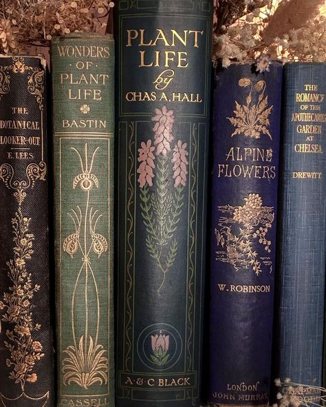 Vintage Book Covers, Genshin Aesthetic, Book Spines, Alpine Flowers, Victorian Books, Spring Books, Library Aesthetic, Vintage Library, Book Spine