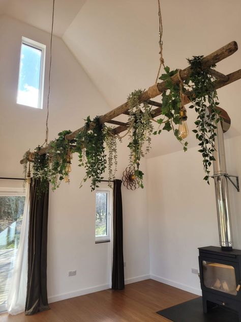 Hanging Lamp With Plants, Indoor Plant Ceiling, Hanging Ladder From Ceiling With Plants, Things Hanging From Ceiling, Plant Area Indoor, Ceiling Plants Hanging, Hanging Ladder From Ceiling, Tall Ceiling Decor, Plants Hanging From Ceiling