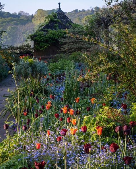 Gravetye Manor on Instagram: "Its tulip time 🌷so good to see so much colour in the garden at last ✨  Stunning images by @markboltonphoto   #gravetyemanor #gravetyemanorgarden #relaischateaux #pobhotels #sussex" Gravetye Manor Gardens, Gravetye Manor, Beautiful Gardens Landscape, Manor Garden, Green Giant, Tulips Garden, Beautiful Gardens, Garden Landscaping, Garden Plants