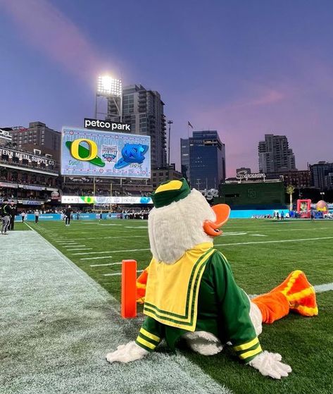 Oregon Ducks Wallpaper, Oregon Ducks Party, Football Wallpaper Iphone, Oregon Football, Ducks Football, Duck Wallpaper, Petco Park, Oregon Ducks Football, College Experience