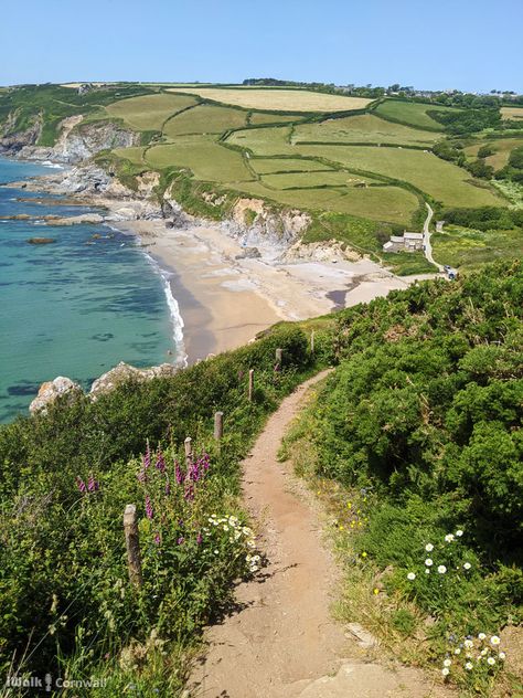 House In Cornwall, Cornwall Beach House, Summer In Cornwall, Cornwall Countryside, Cornwall Aesthetic, Cornwall Landscape, Cornwall Summer, Cornwall Cottage, Cornwall House